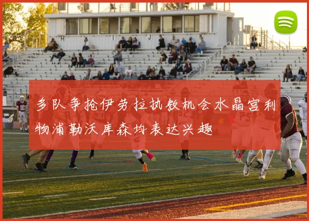 多队争抢伊劳拉执教机会水晶宫利物浦勒沃库森均表达兴趣