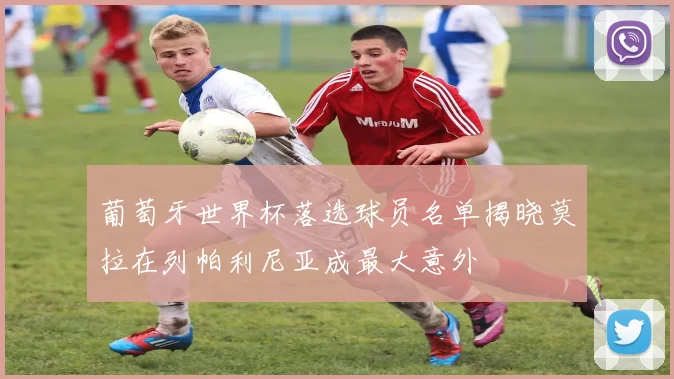 葡萄牙世界杯落选球员名单揭晓莫拉在列帕利尼亚成最大意外