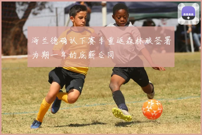 海兰德确认下赛季重返森林狼签署为期一年的底薪合同